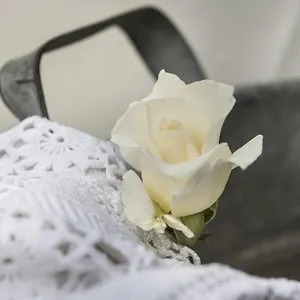  Bed & Breakfast Il Giardino Di Ortensia